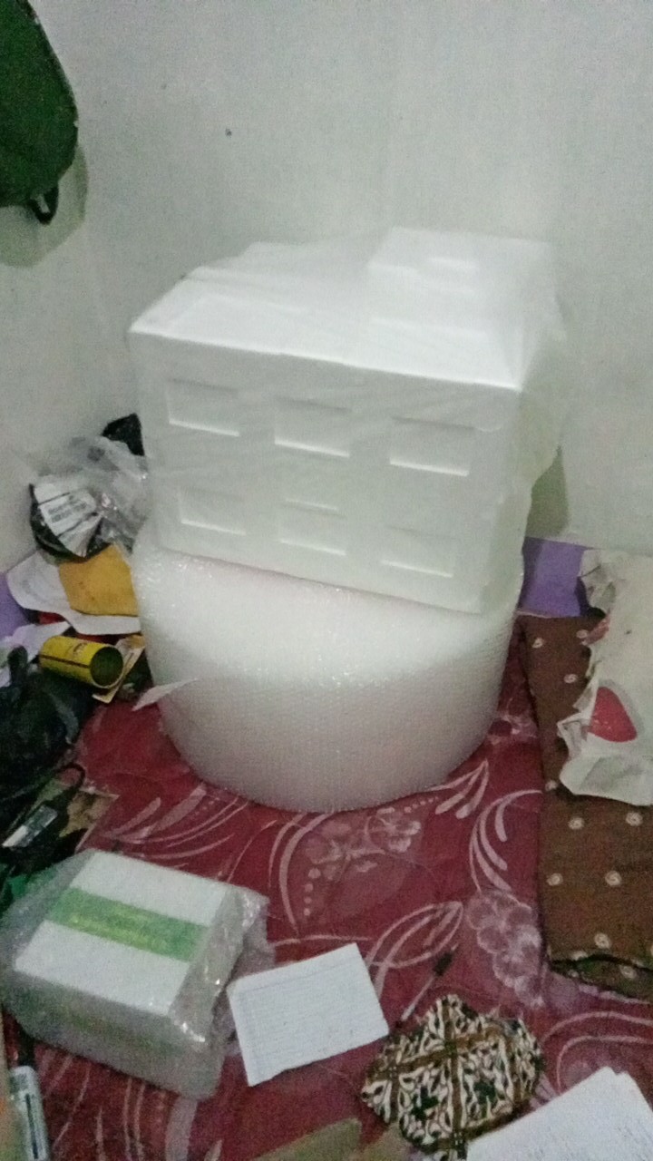 Styrofoam Box Bm Small / Dinarbox / Box Bm Uk 330 X 215 X 235 Mm / Sterofoam Murah