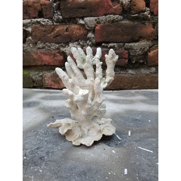 BATU KARANG RANGKAI HIASAN AQUARIUM/RUMAH IKAN HIAS AQUARIUM