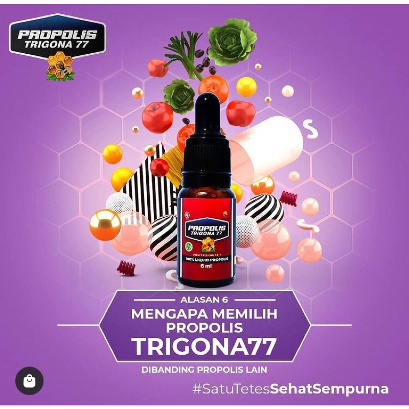 PROPOLIS TRIGONA 77