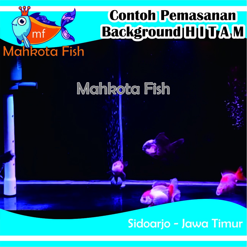 Stiker Aquarium PROMO!! (Extra Lebih Lebar 50cm) | Skotlet Aquarium | Background Aquascape GRATIS PACKING SELONGSONG