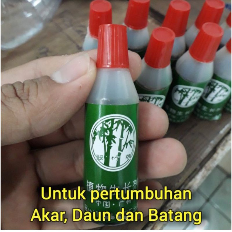 Pupuk Cair Bambu Ijo / Zat percepatan tumbuh tanaman