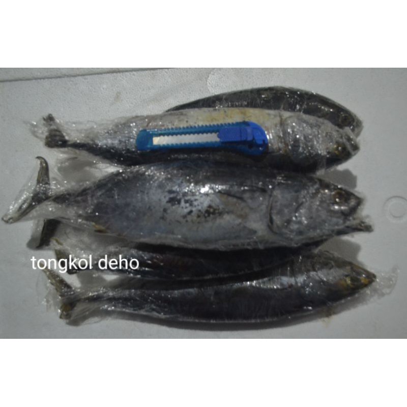 

tongkol deho