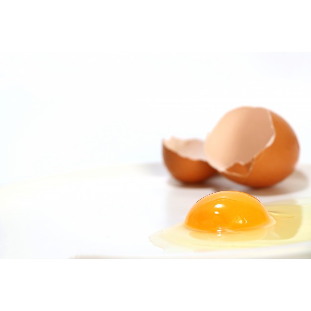 

Putih Telur Fresh // Fresh Egg White