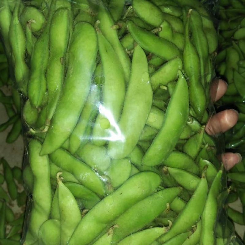 

edamame