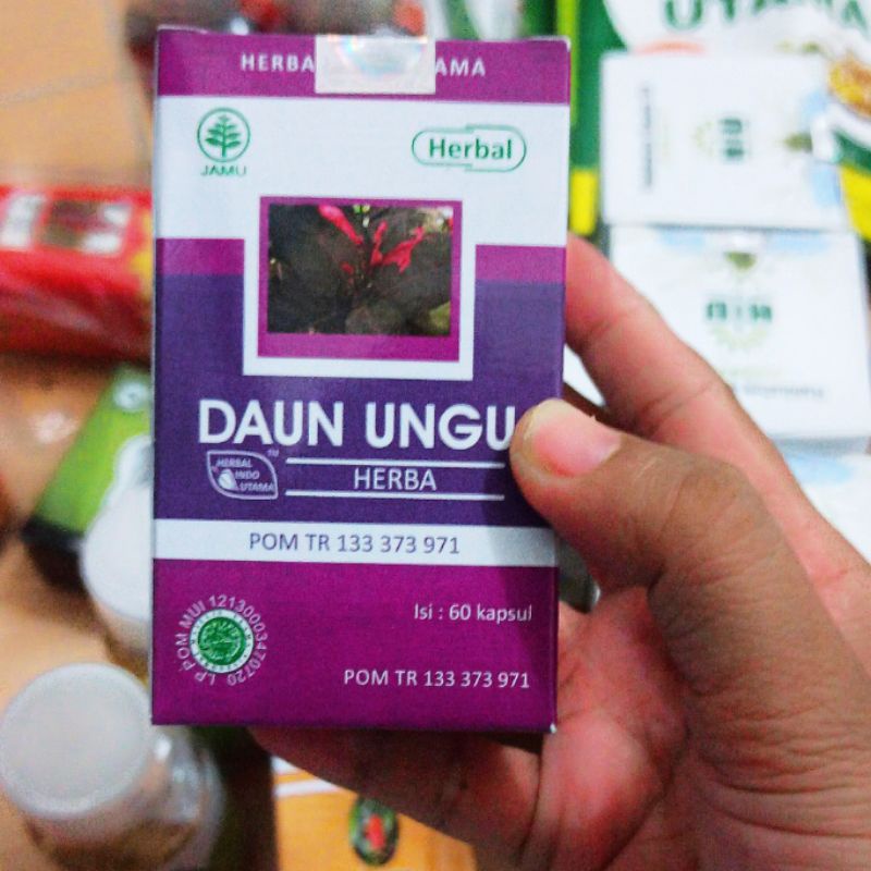 kapsul daun ungu HIU herbal indo utama obat wasir ambien ambeven  paling ampuh