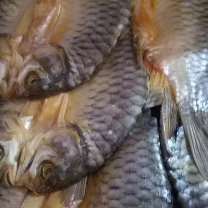 

[COD] ikan tawes /rancak besar 500 gr [COD]