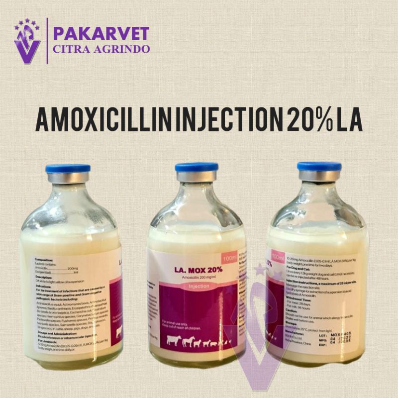 LA. MOX 20% INJ. seperti intramox, biomocillin, betamox. Konsentrasi lebih tinggi