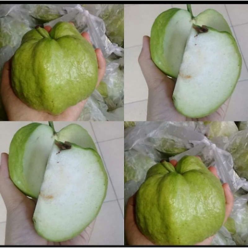 

buah jambu kristal 1kg