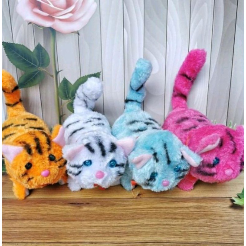 mainan kucing bisa berjalan pakai bataray
