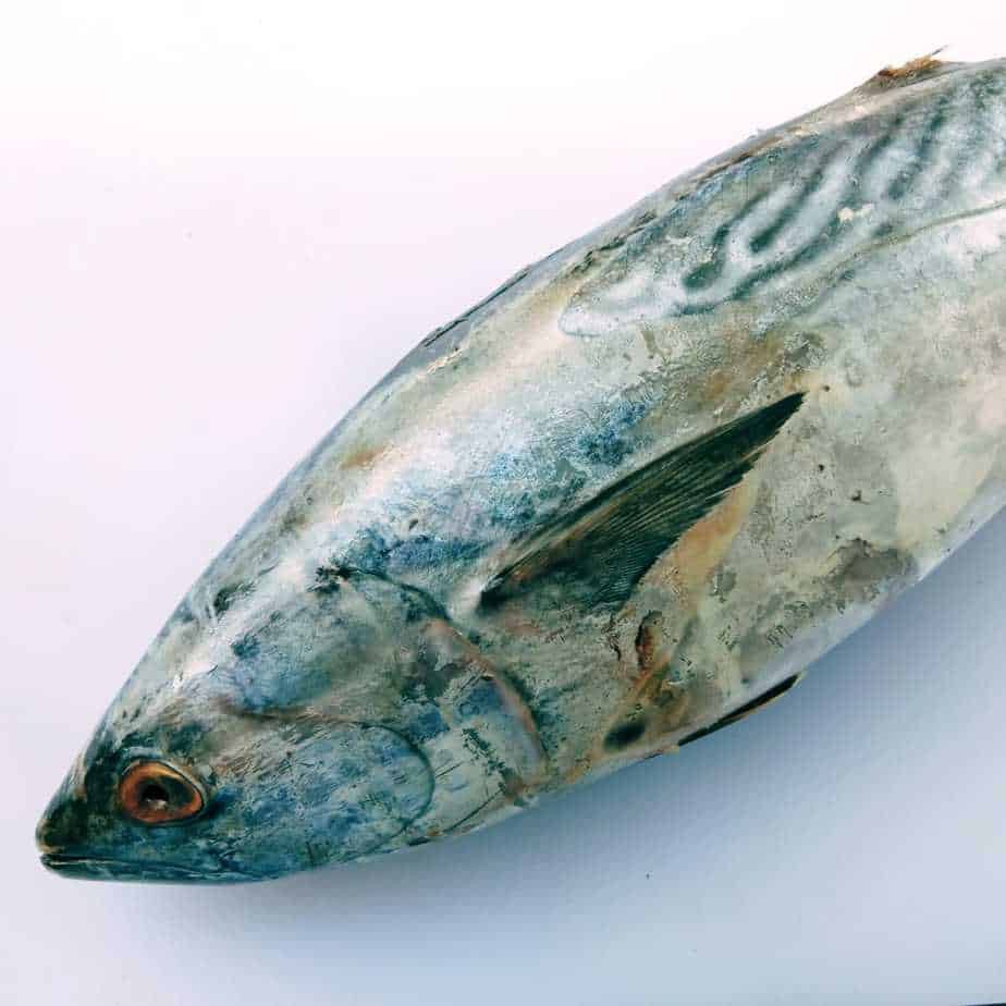 

Ikan tongkol batik 1kg