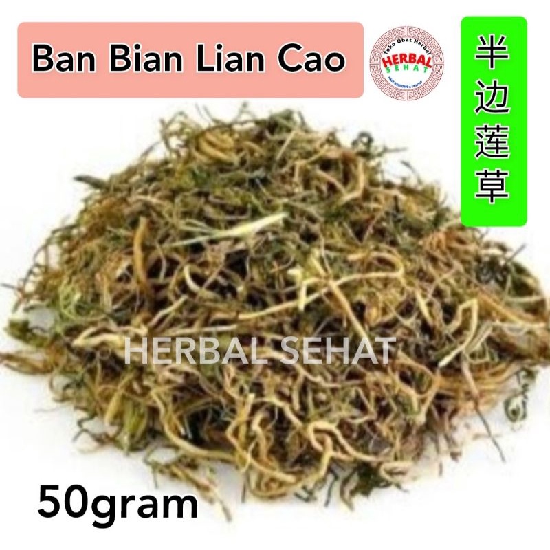 

Ban bian lian Lobelia chinensis 50 gram