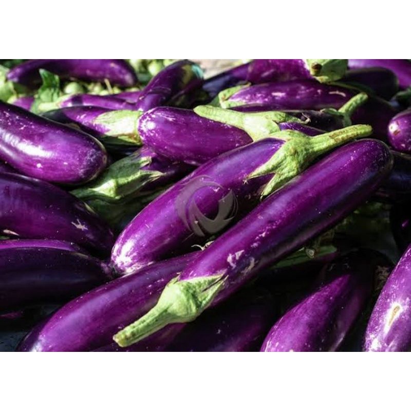 

TERONG UNGU SEGAR BAGUS 500GR