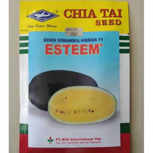 SEMANGKA INUL KUNING BERBIJI ESTEEM BISI CAP KAPAL TERBANG