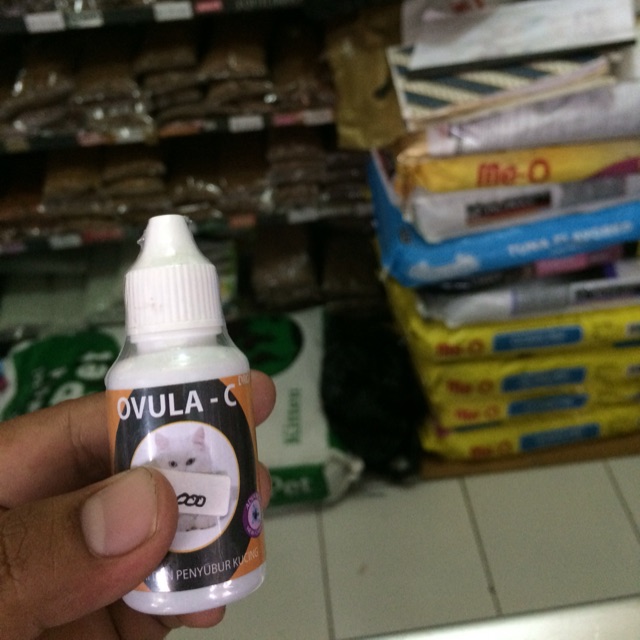 Obat birahi /penyubur kucing ovula c