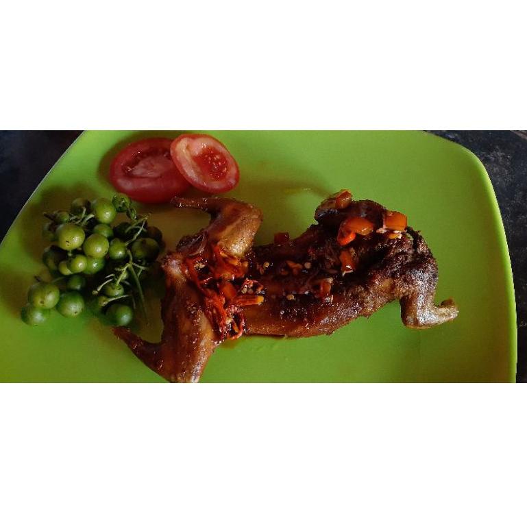 

V-UGE) ✪) DAGING TUPAI UNGKEUP SIAP GORENG PER 1 EKOR - DAGING BAJING KELAPA - DAGING TUPAI KELAPA SIAP GORENG /super keren)