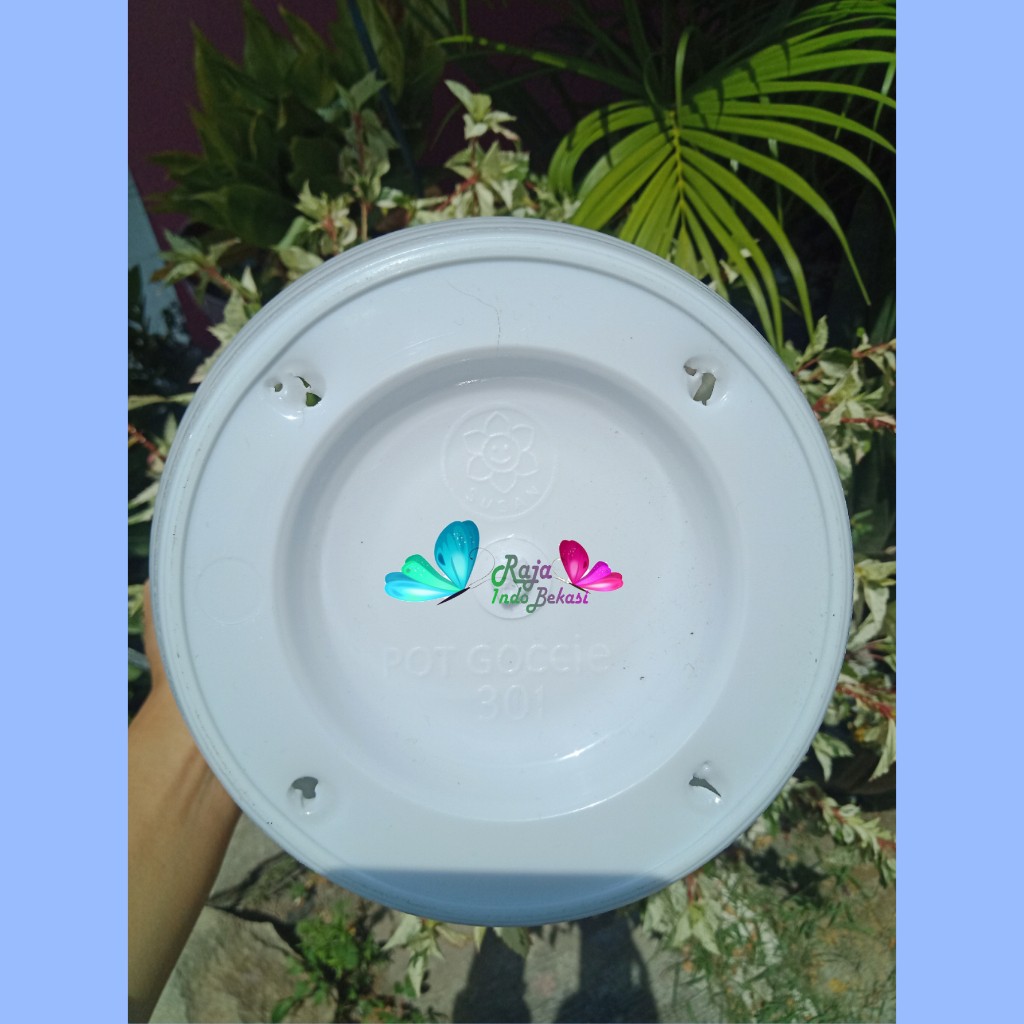 Pot Goccie Tinggi Pirus 301 Putih  24CM Motif Tawon Pot Hias Bunga Plastik  Mirip Tawon Aglonema