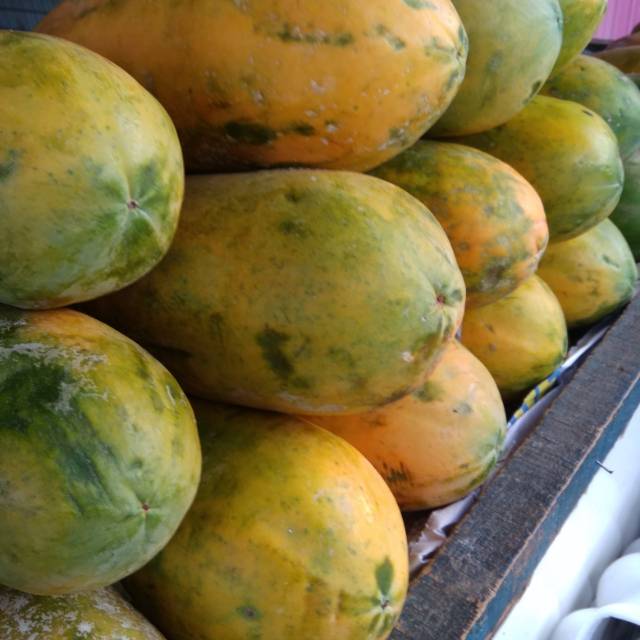

Pepaya california