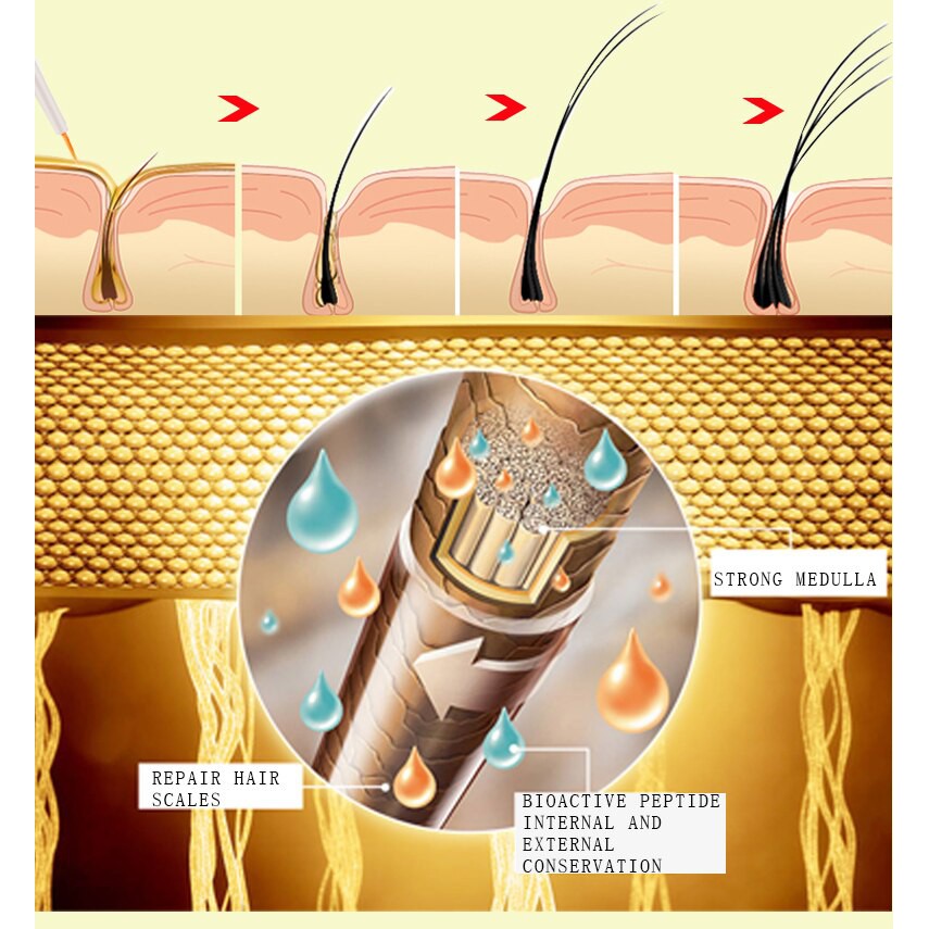 [100% Asli]  OEDO Curling Eyelash Penumbuh Alis Bulu Mata Penambah Penebal Bulu Mata Lebih Tebal