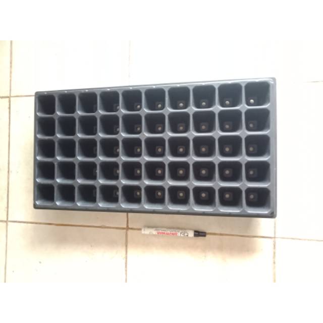 Tray anggrek isi 50