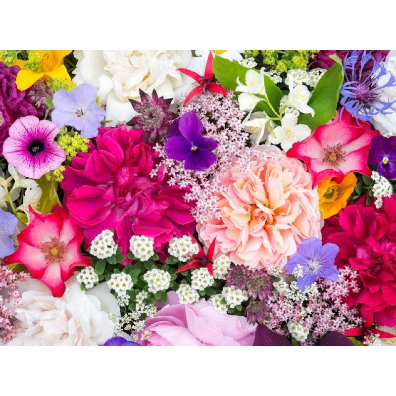 Le Reve Refill Reed Diffuser (include Reed Sticks)-Other Scent (note)