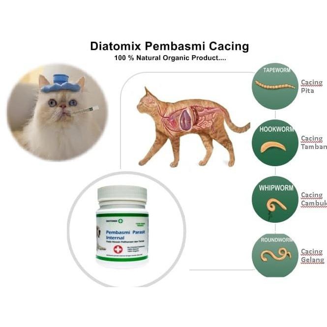 Obat Pembasmi Cacing Alami Untuk Kucing Anjing Hewan Peliharan Shopee Indonesia