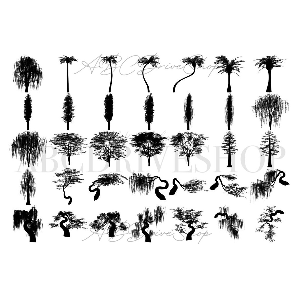 Procreate Brush - Willow Tree Procreate Brushes