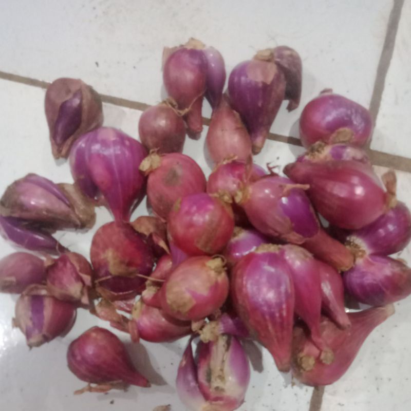 

bawang merah 1/2kg