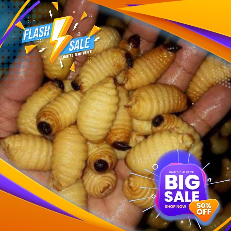 Jual ulat sagu umpan pancing per 50 biji
