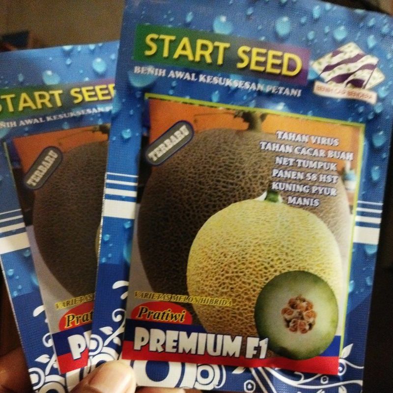 benih melon pratiwi