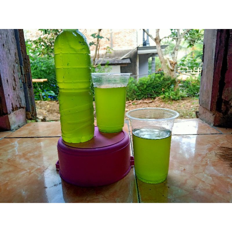 Air Chlorella 1 Liter Lebih/1200 Ml | Untuk mengkultur Kutu air moina / Dapnia magma