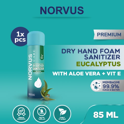 dry hand foam sanitizer 85ml   norvus