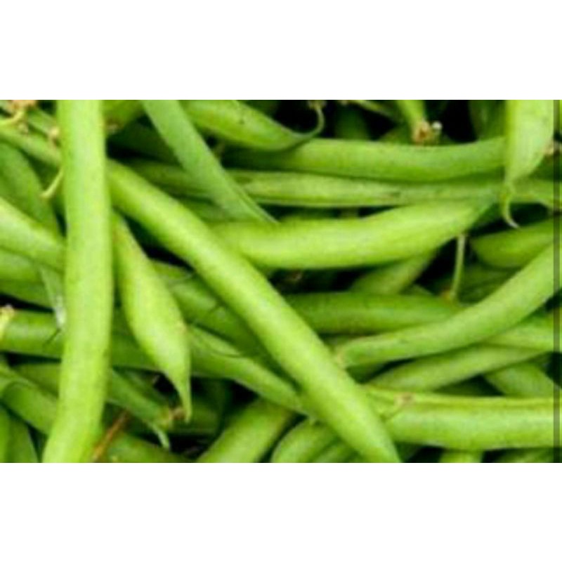 

buncis 500 gr