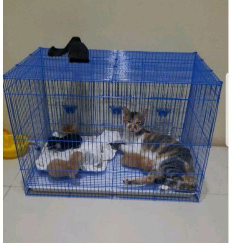 KANDANG KUCING, KELINCI, SUGER GLEDER, DAN BURUNG. SIZE L 60x42x40-2