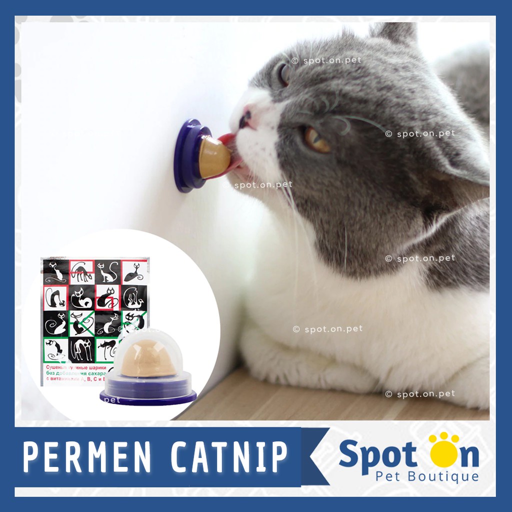 (Premium) Bola Catnip Vitamin Tempel | Permen Energi Vitamin Kucing | Snack Catnip Candy