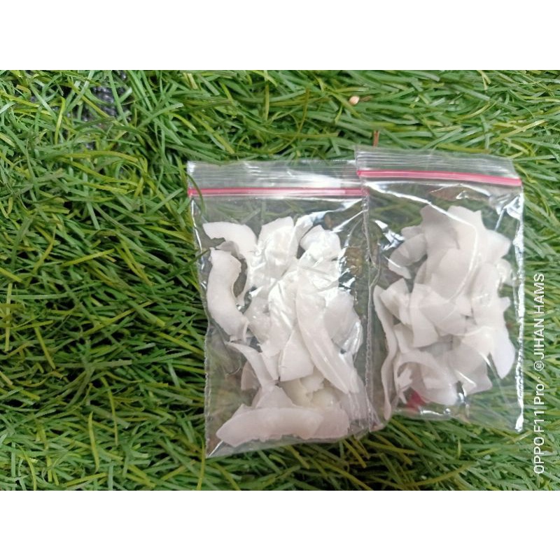 makanan hamster cemilan hamster coconut flake