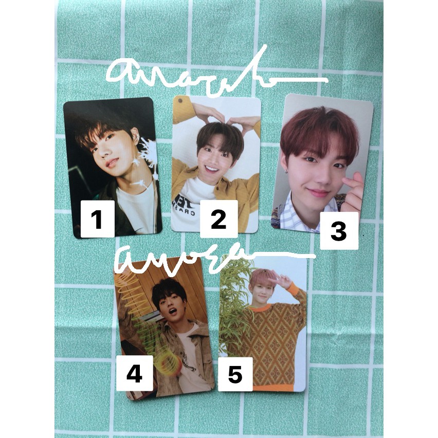 PHOTOCARD TREASURE FULL ALBUM JUNKYU HARUTO DOYOUNG MASHIHO