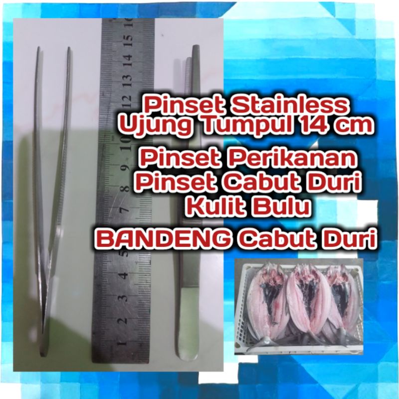 Pinset Bandeng Cabut Duri, Pinset Perikanan, Pinset Ikan, Pinset Bandeng, Pinset Cabut Duri, Pinset 