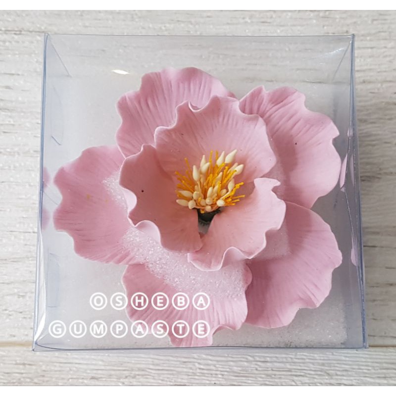 

osheba gumpaste bunga Open rose warna pink