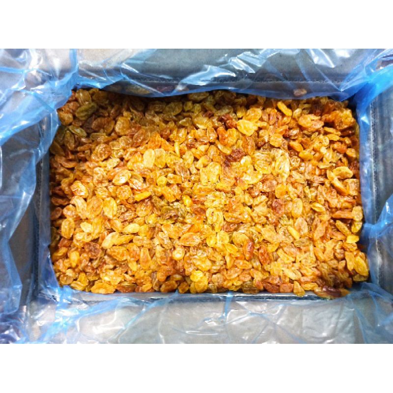 Kismis 5 Kg Golden Raisin √ Kismis Asem Manis √ Kismis