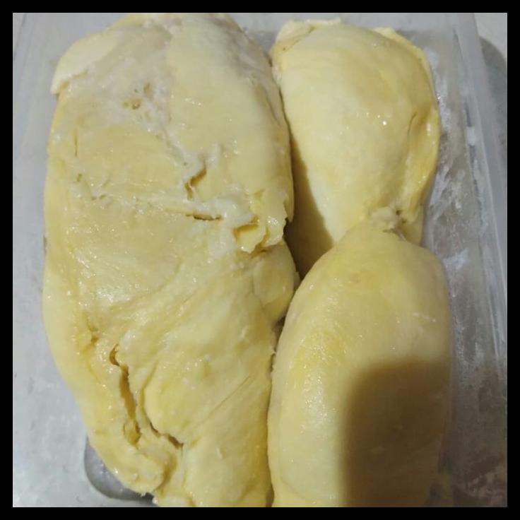 

Durian Montong + Durian Monthong