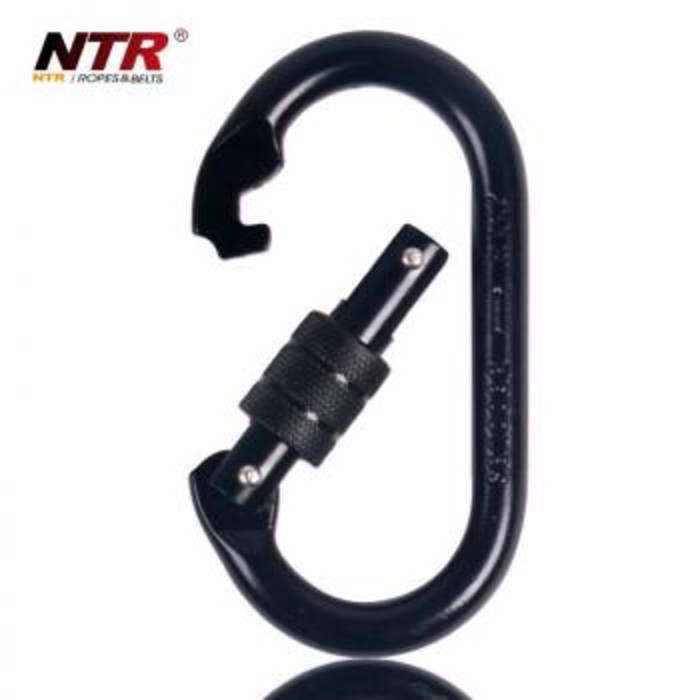 Jual NTR Oval Quick Release Carabiner Screw Safety Lock  Karabiner Diskon