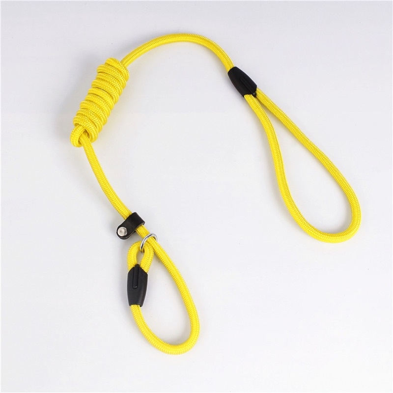 Pawpet walking training leash