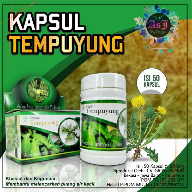 

Kapsul Tempuyang / Kapsul Tempuyung isi 50 kapsul GAN Melancarkan Buang Air Kecil