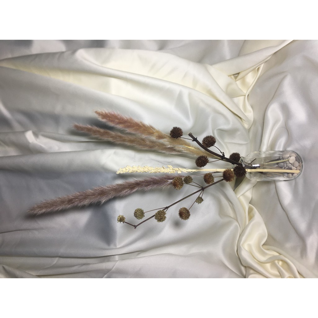 Bunga kering Pampas paket vas