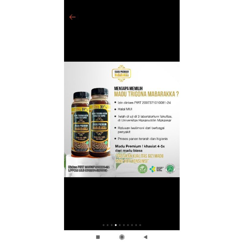 

madu Trigona mabarakka