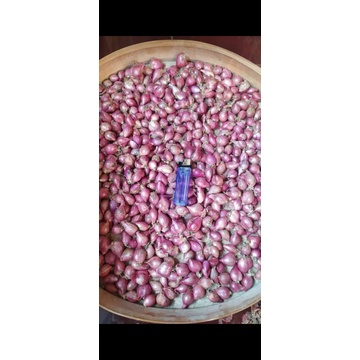 

bawang merah