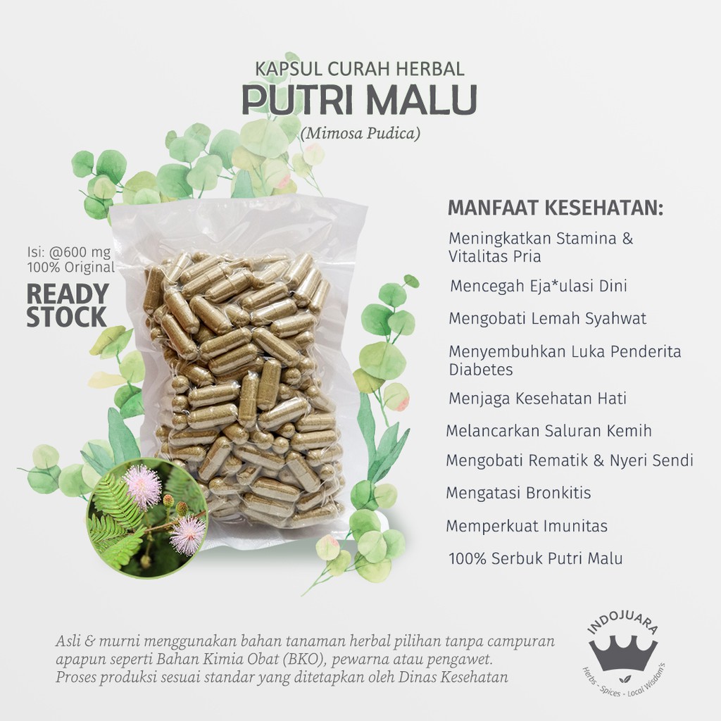 

Kapsul Curah PUTRI MALU 200 x 600mg Herbal Kuat Pria Bronchitis Herpes Asma
