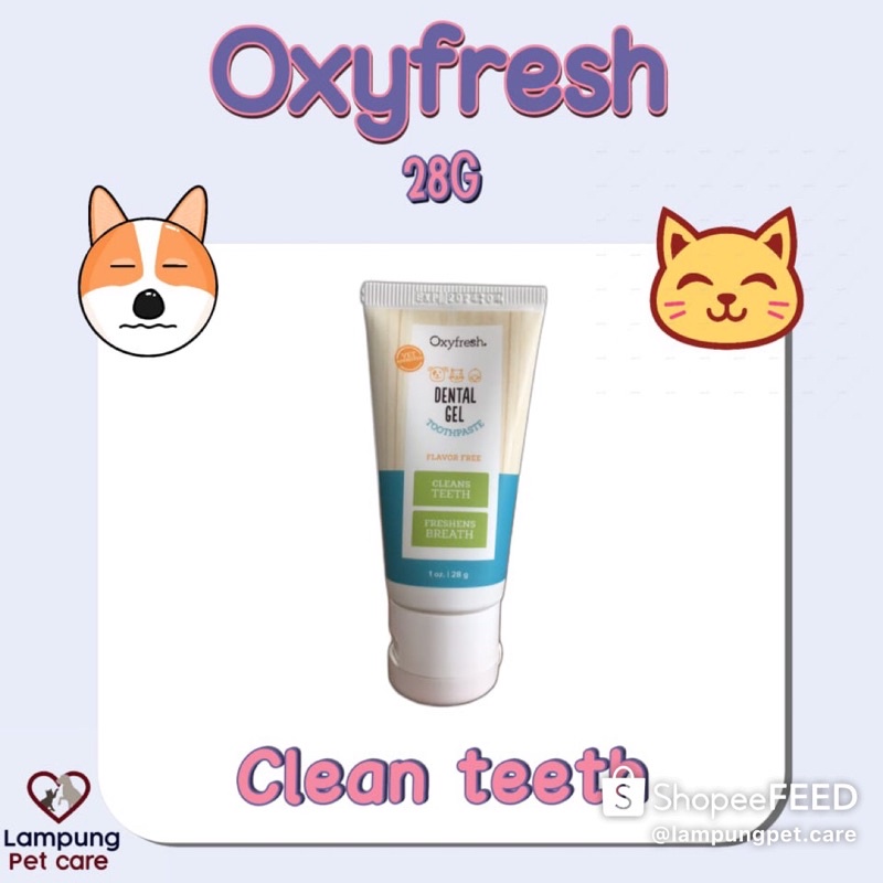 oxyfresh dental gel