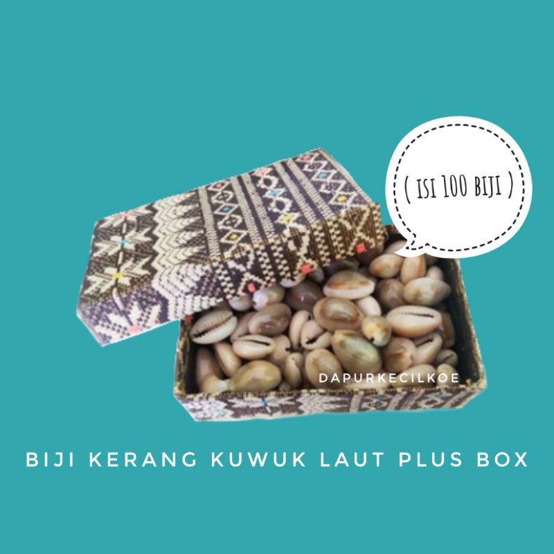 dapurkecilkoe - Biji kuwuk laut ASLI untuk permainan congklak isi 100biji+box