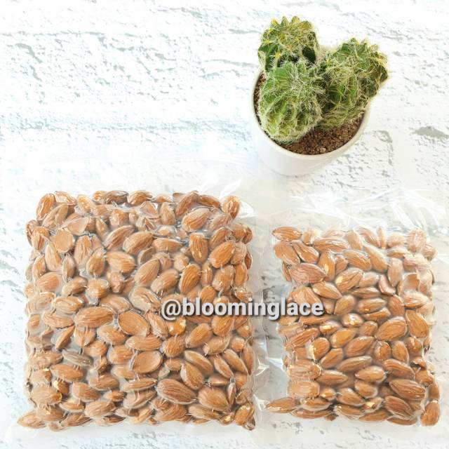 

SUPPLIER GROSIR raw kacang ALMOND nuts mentah import asli California USA 500 gram Almonesia terbaik